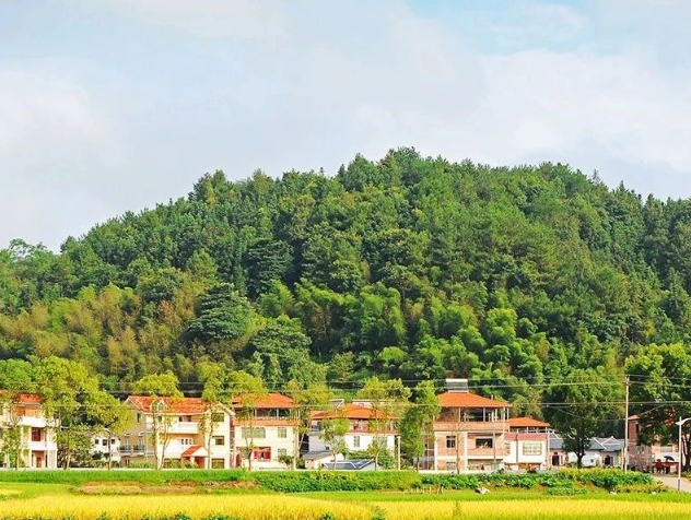生態(tài)環(huán)境部關于發(fā)布國家重點研發(fā)計劃 “大氣與土壤、地下水污染綜合治理”等3個重點專項2024年度項目申報指南的通知