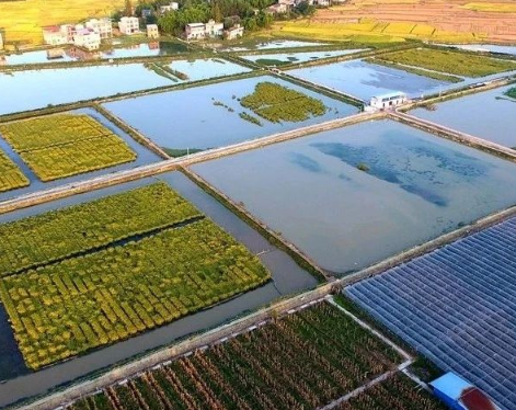 農業(yè)農村部答復加快農民專業(yè)合作社發(fā)展有關建議
