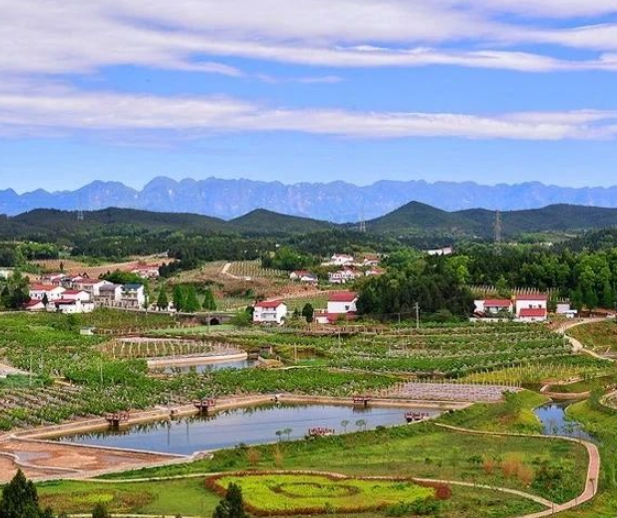 生態(tài)環(huán)境部丨《生態(tài)環(huán)境部門進(jìn)一步促進(jìn)民營經(jīng)濟發(fā)展的若干措施》