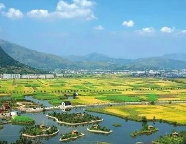 山東印發(fā)實施意見，大力發(fā)展現(xiàn)代設(shè)施農(nóng)業(yè)